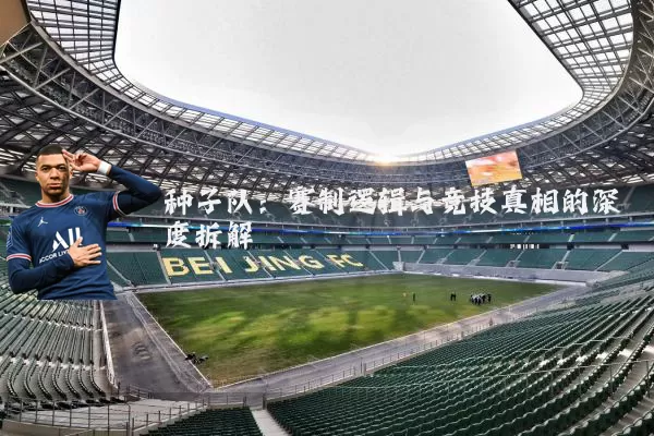 种子队：赛制逻辑与竞技真相的深度拆解